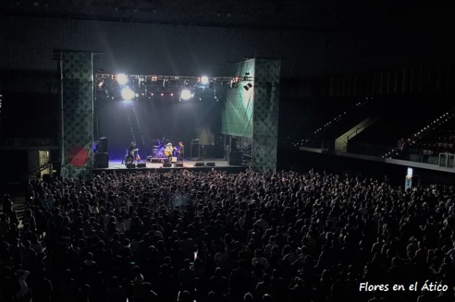 Mad-Cool-2016-Angel-Stanich