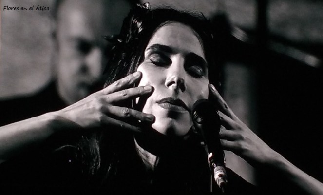 PJHarvey-Primavera-Sound