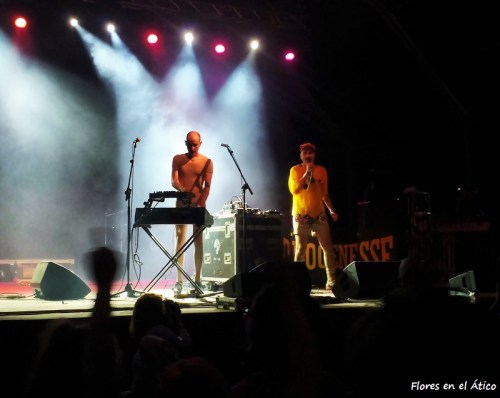 FIB-2016-Hidrogenesse