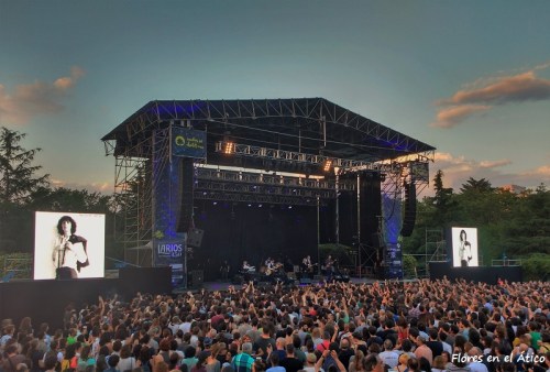 Patti-Smith-Noches-Botanico-julio-2016-2