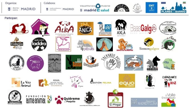 fiestas-san-anton-2017-madrid-2