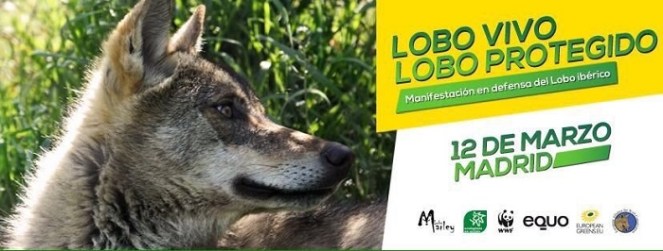 manifestacion-lobo-iberico-madrid-12-marzo-2017