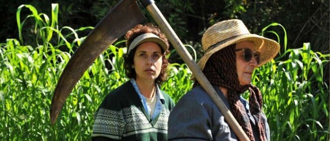 filmoteca